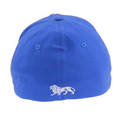 Blue 6 Panels Embroidery Fitted Baseball Caps,  Men/Women Outdoor Baseball Hat For Autumn/Winter